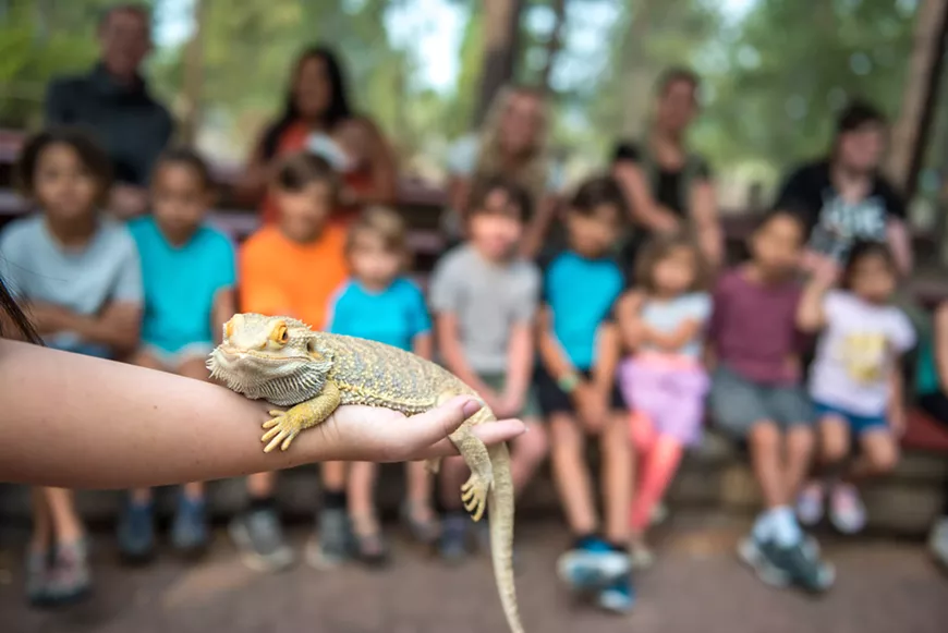 Nature Center homeschool programs