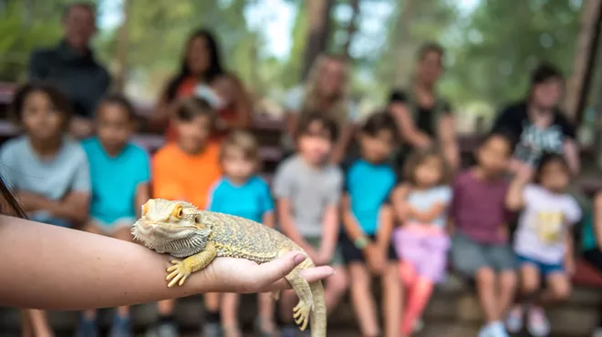 Image: Homeschool Day - Scales, Tails & Claws