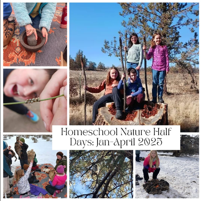 Homeschool Nature Program