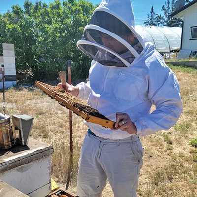 Honeybee Hive Tour With Bend's Broadus Bees