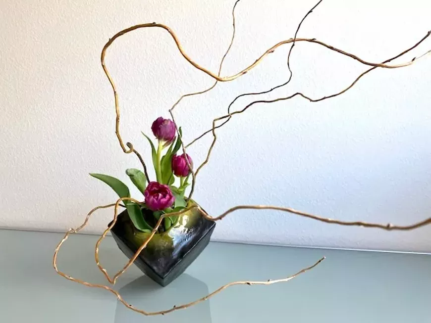 Japanese ikebana featuring tulips and curly willow.