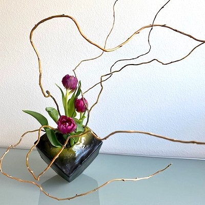 Japanese ikebana featuring tulips and curly willow.