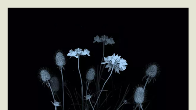 Image: In Time&rsquo;s Hum: The Art and Science of Pollination