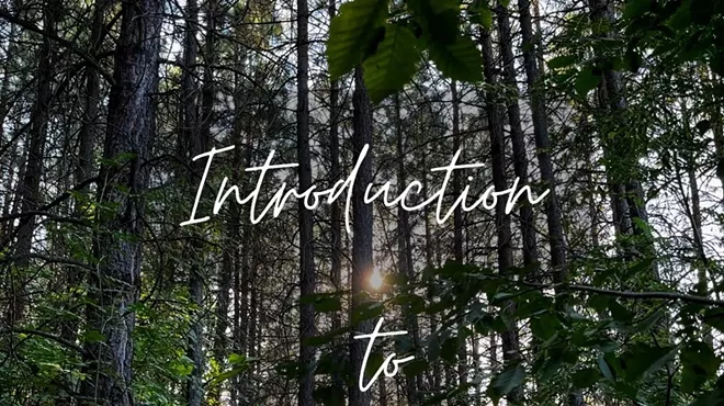 Image: Introduction to Forest Bathing