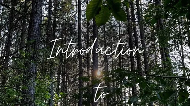 Image: Introduction to Forest Bathing
