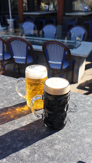 Image: It's Stein Time!
