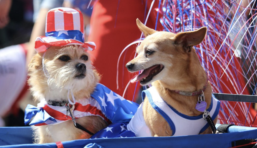 27.26-picks-july4petparade--bendparkandrecweb.png