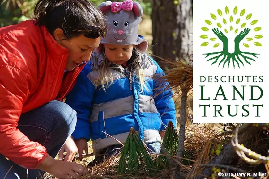 An adult and child make a fairy house in the woods.
