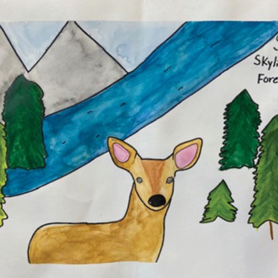 Kids Have a Voice: Save Skyline Forest