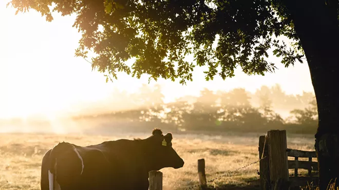Image: Know Sustainability: Sustainable Farming in the High Desert