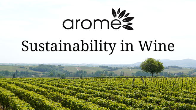 Image: Know Sustainability: Sustainable Wine Featuring Bedrock Wine Co.
