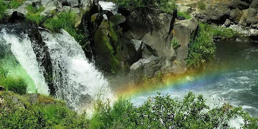 https---cdn.evbuc.com-images-675896439-11941496409-1-original.20240116-200243.webp