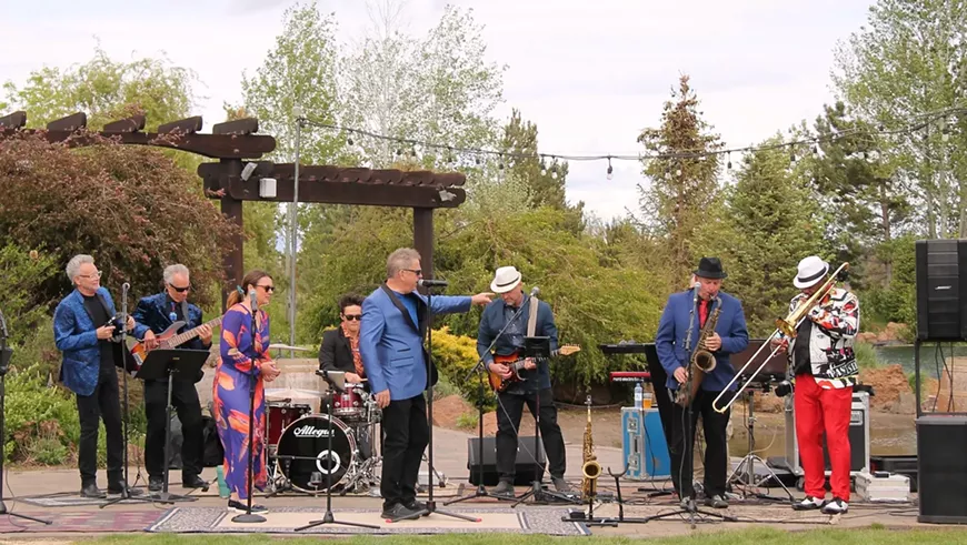 Live at the Vineyard: High Street Party Band