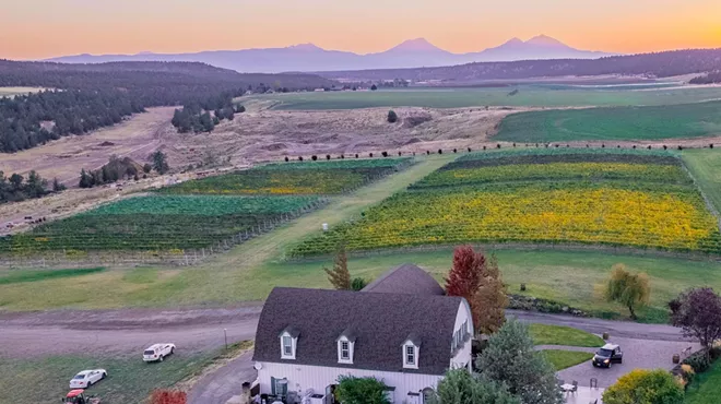 Image: Live at the Vineyard: Jackson Michelson
