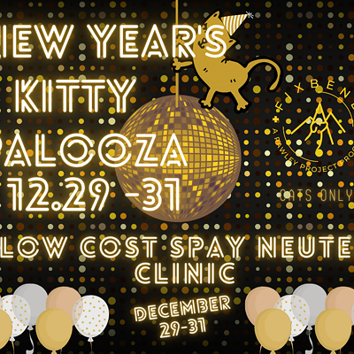 Low Cost Spay/Neuter Kitty Palooza Clinic
