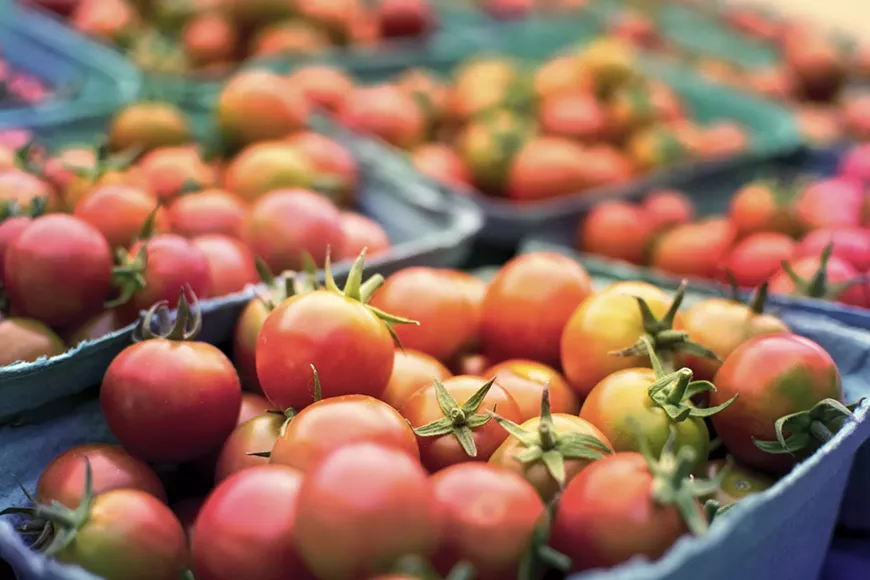 tomato-2556426_1920.webp