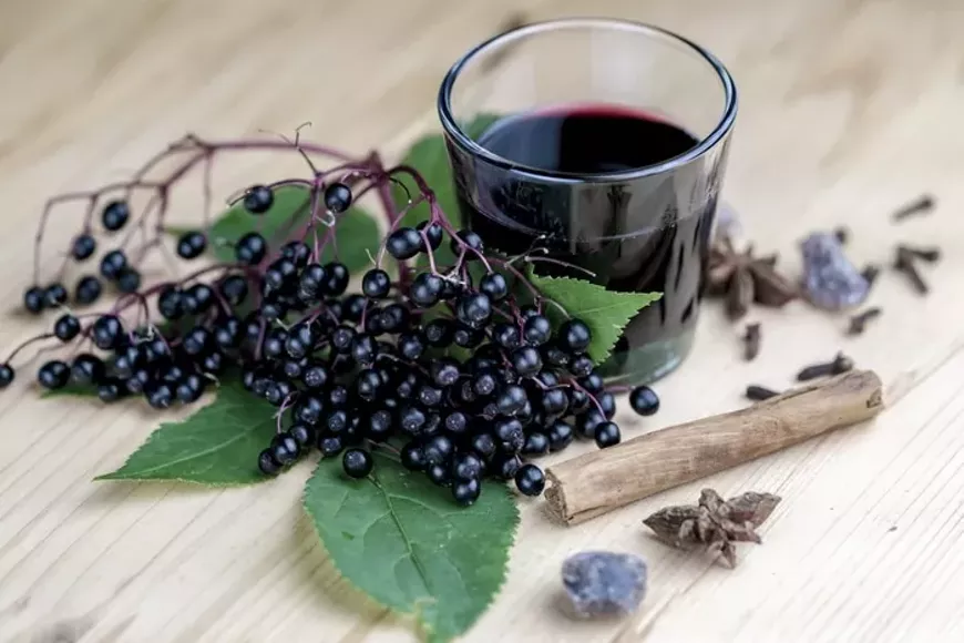 Learn how to make Elderberry Syrup!