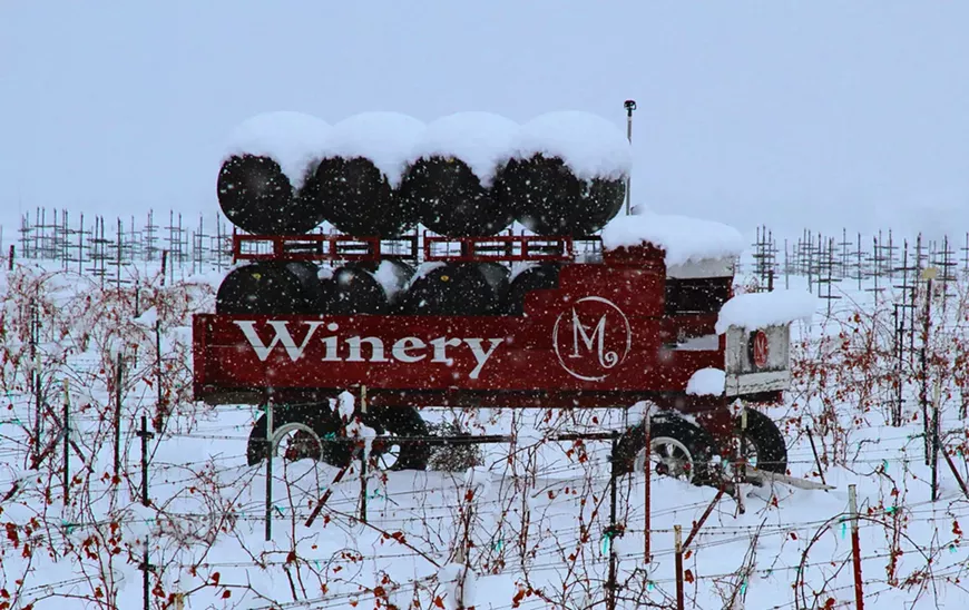 snow_maragas_barrel_wagon_2022_12-11_img_3135.webp