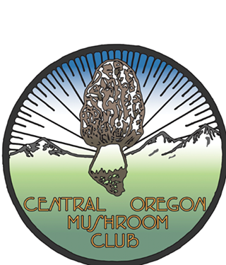 Image: Medicinal Mushrooms with Nancy Pieroski