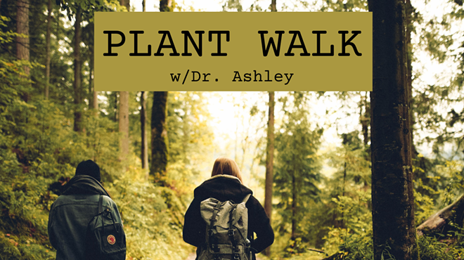 Image: Medicinal Plant Walk