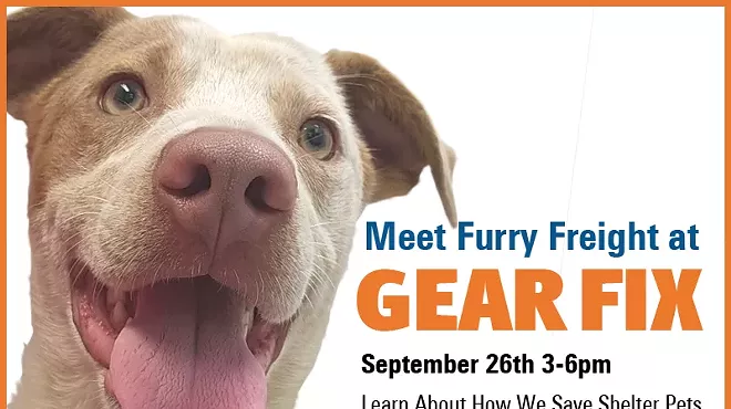 Image: Meet Furry Freight At Gear Fix