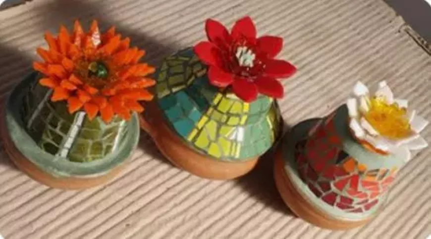 1_cacti.webp