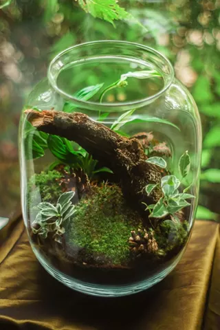 Image: Mother's Day Terrarium Class