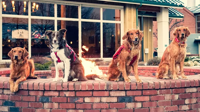 Image: Mt. Bachelor Avalanche Dog Takeover