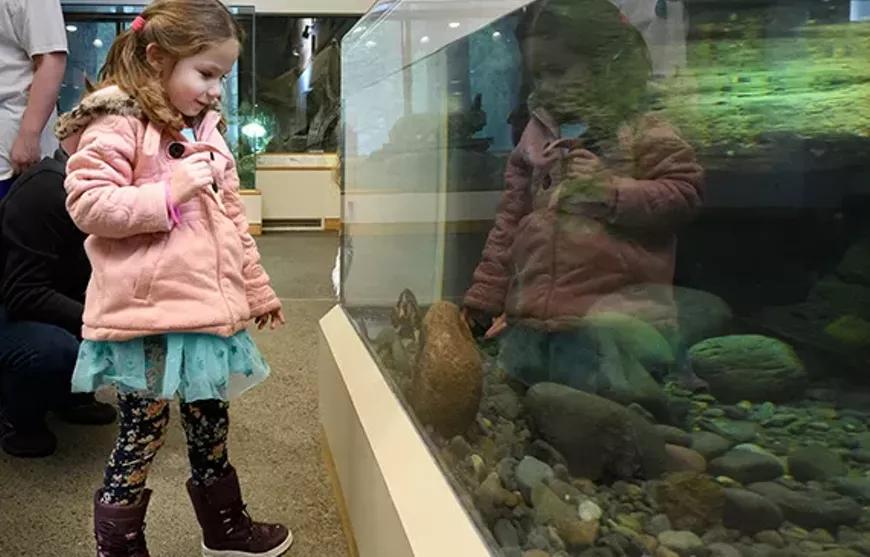 11.11_museum_and_me.webp