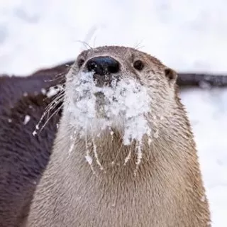 Image: Museum Closed&mdash;Happy Holidays!