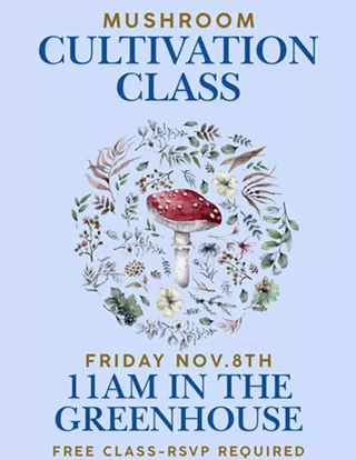 Image: MUSHROOM CULTIVATION CLASS