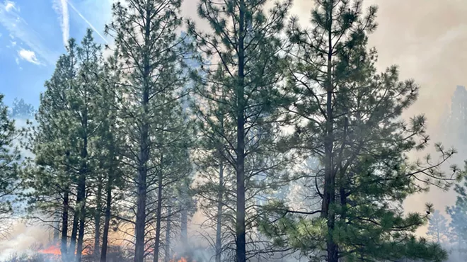 Image: Natural History Pub: Learning to Live with Fire