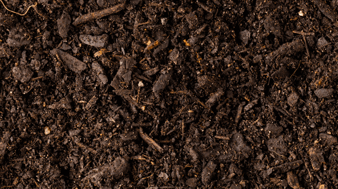 Image: Natural History Pub: The Recipe for Healthy Soil