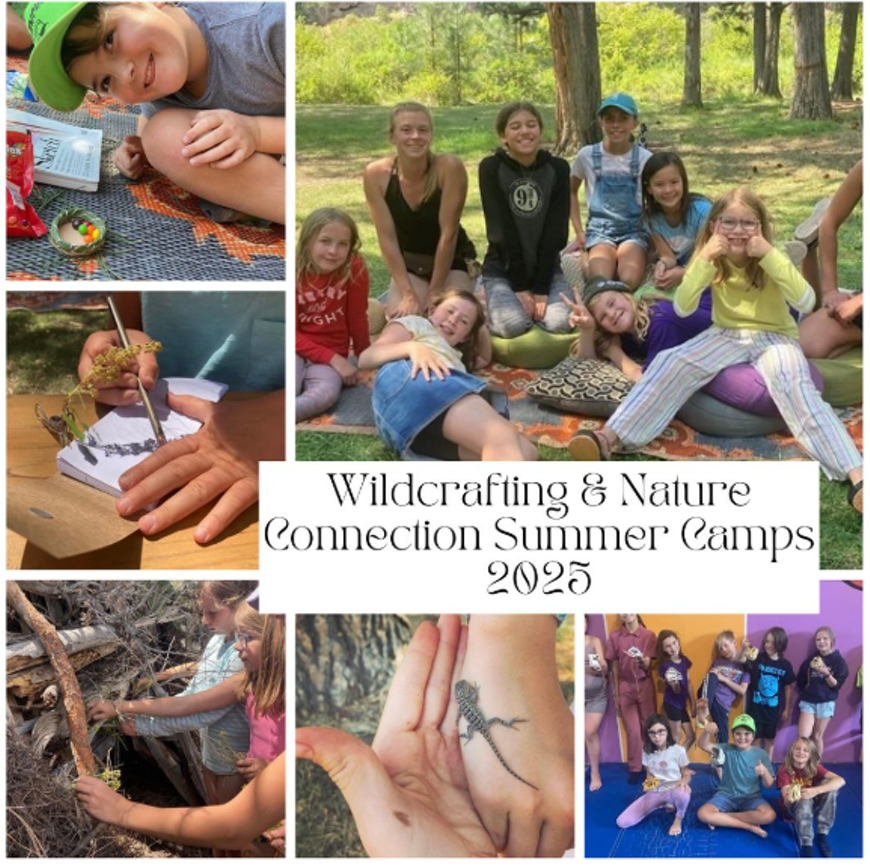 Nighthawk Naturalist School Summer Camps