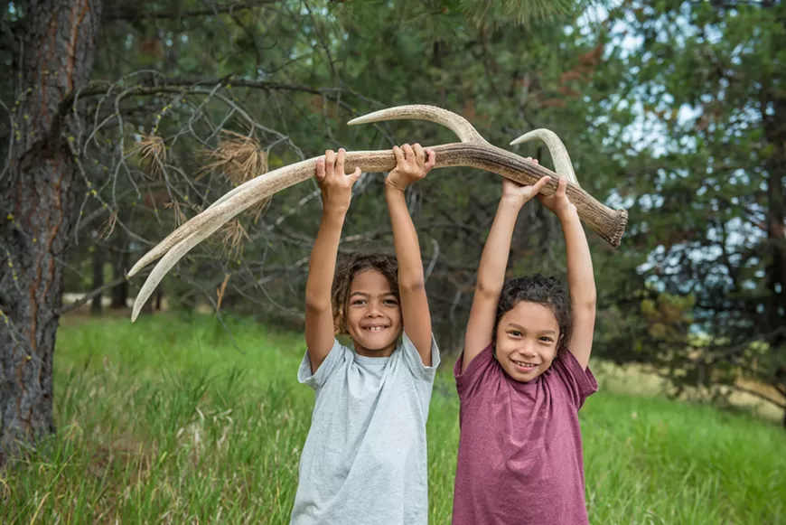 Become a nature detective!