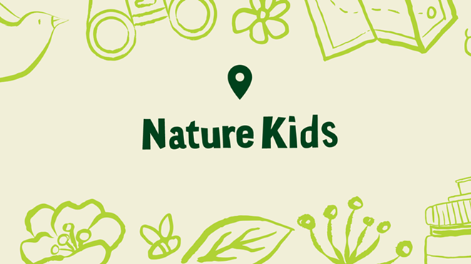 Image: Nature Kids: Treemendous Trees!