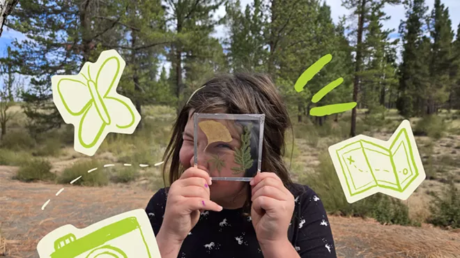 Image: Nature Kids: Wildlife in our Woods