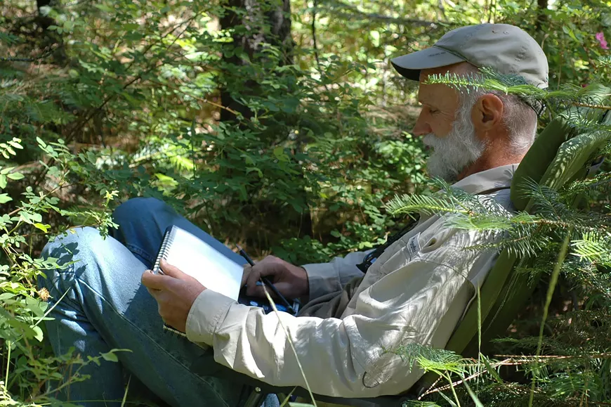 A man in a chair among the tree field sketching