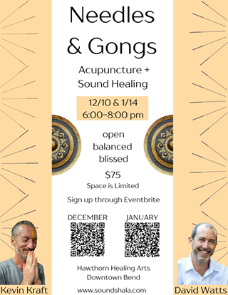 Image: Needles & Gongs - Acupuncture & Sound Healing