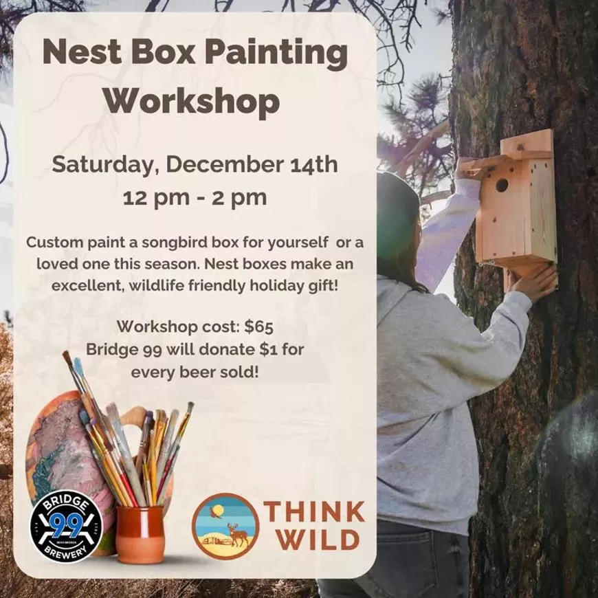 nestboxpainting.webp