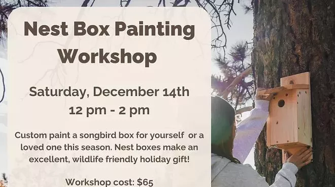 Image: Nest Box Painting Workshop