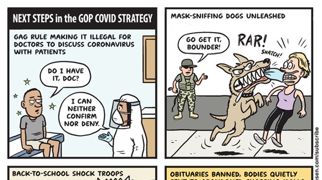 Next Steps in the GOP Strategy