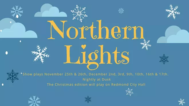 Image: Northern Lights Display: Christmas Edition