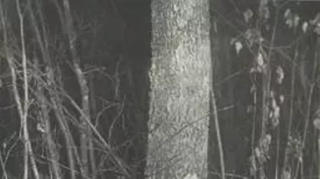 Image: Observing Wildlife through Trail Cameras for Personal Enrichment and Citizen Science