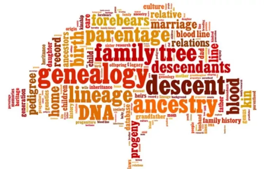 genealogy_tree.webp