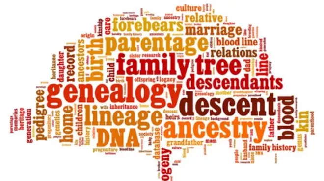 Image: ONLINE ONLY: Genealogy 101