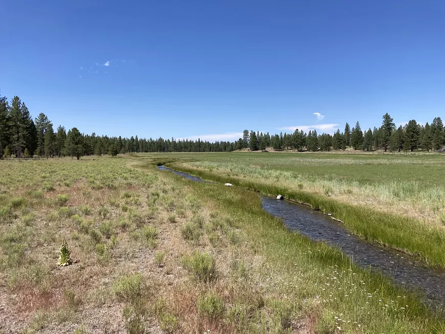 deschuteslandtrust_38581643-2.webp