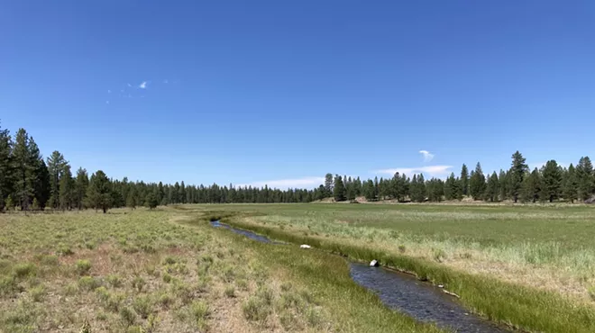 Image: Paulina Creek Preserve Tour