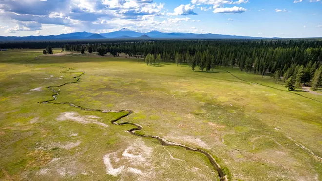 Image: Paulina Creek Preserve Tour