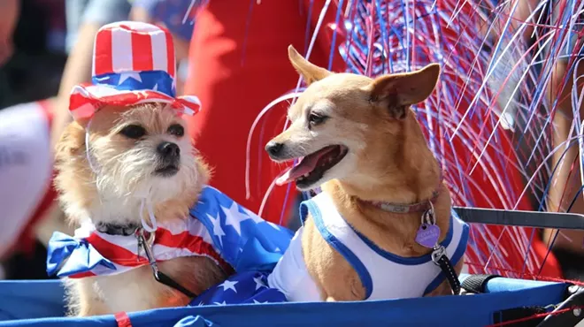 Image: Pet Parade